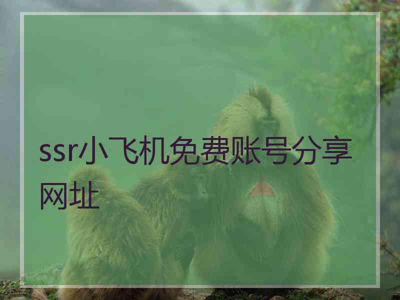 ssr小飞机免费账号分享网址