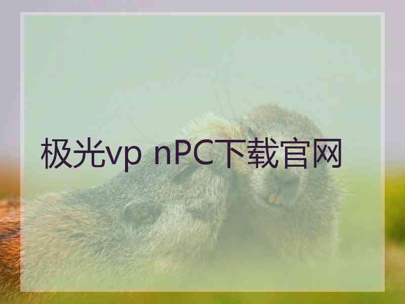 极光vp nPC下载官网