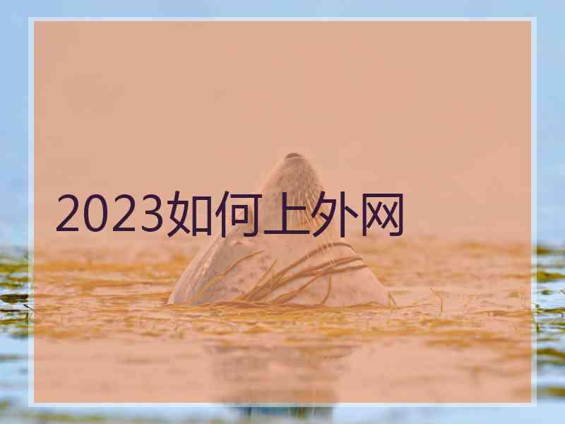 2023如何上外网