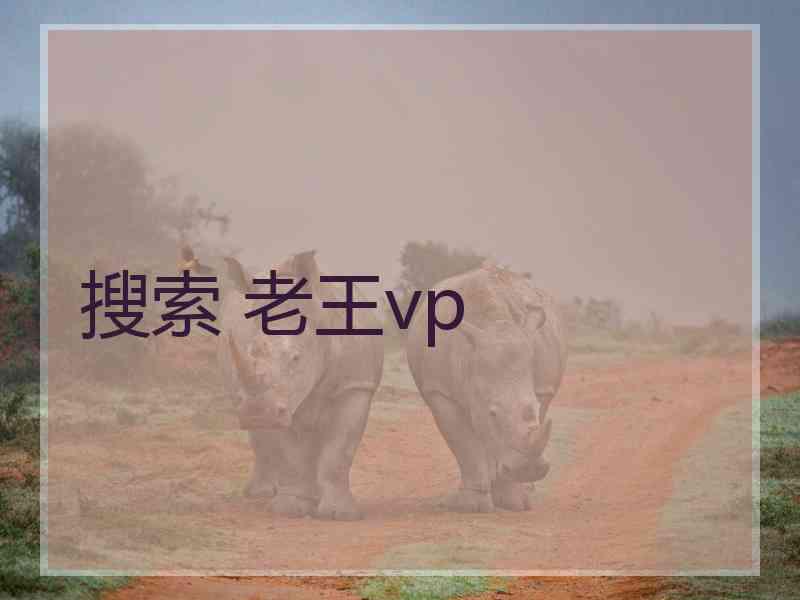 搜索 老王vp