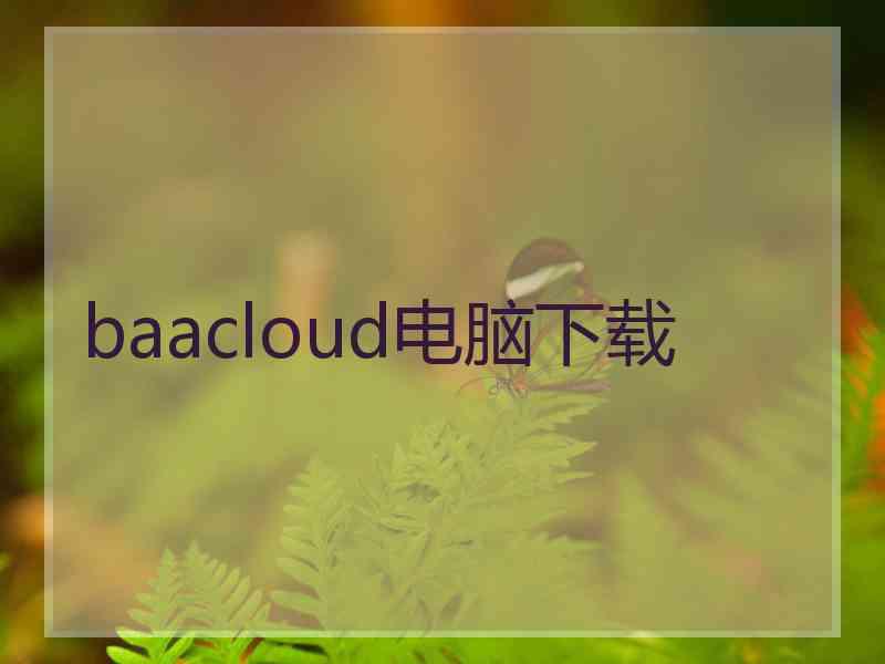 baacloud电脑下载