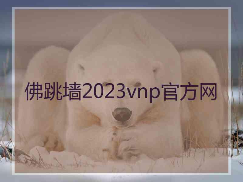 佛跳墙2023vnp官方网