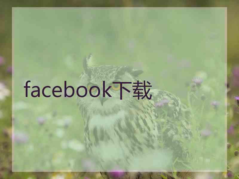 facebook下载