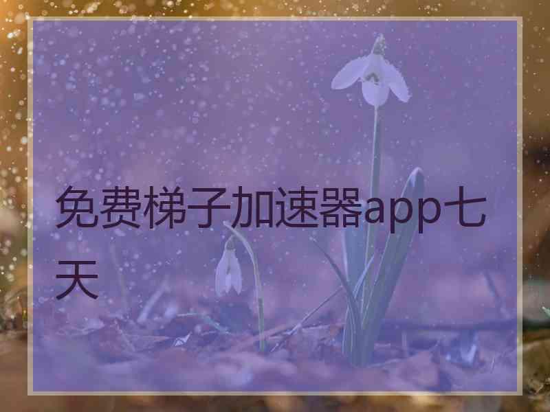 免费梯子加速器app七天