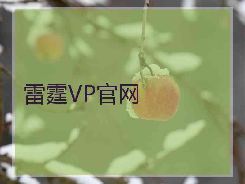 雷霆VP官网