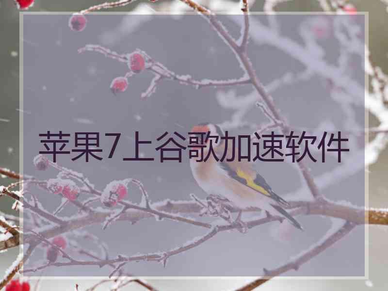 苹果7上谷歌加速软件