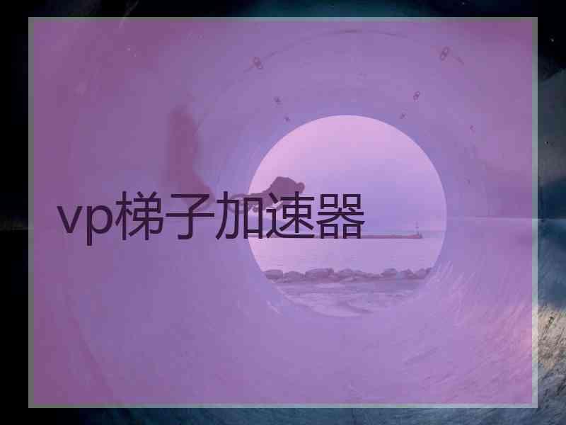 vp梯子加速器