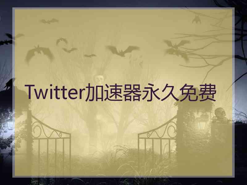 Twitter加速器永久免费