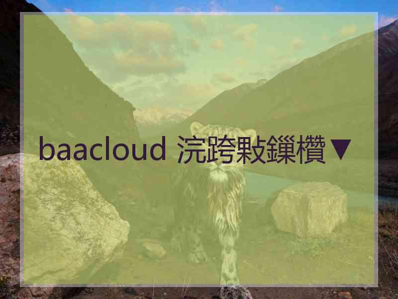 baacloud 浣跨敤鏁欑▼