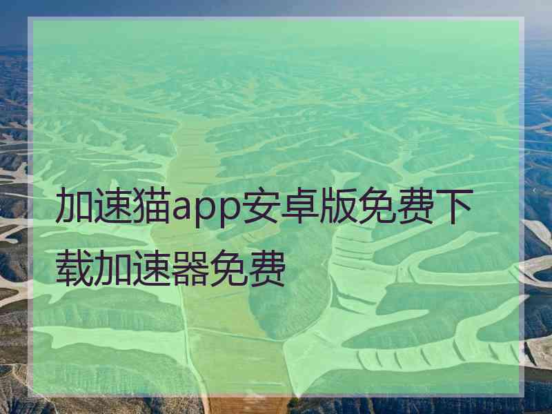 加速猫app安卓版免费下载加速器免费