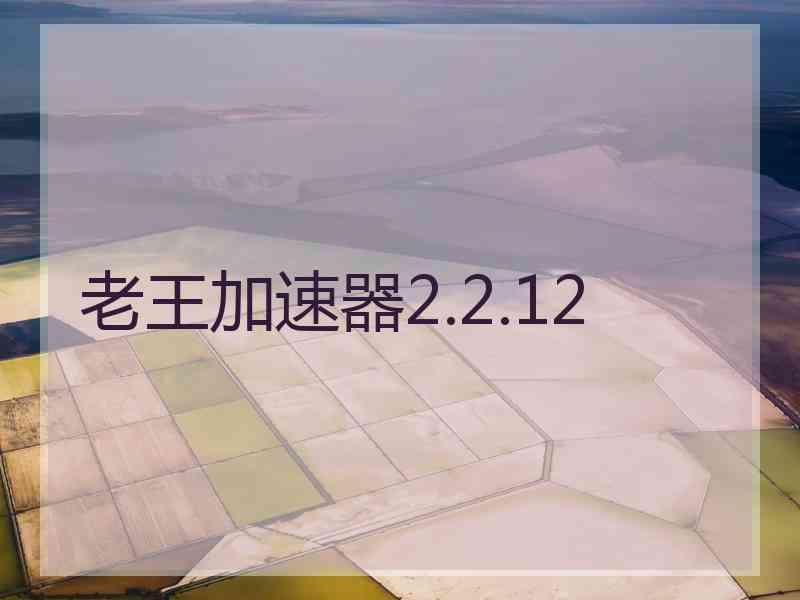 老王加速器2.2.12