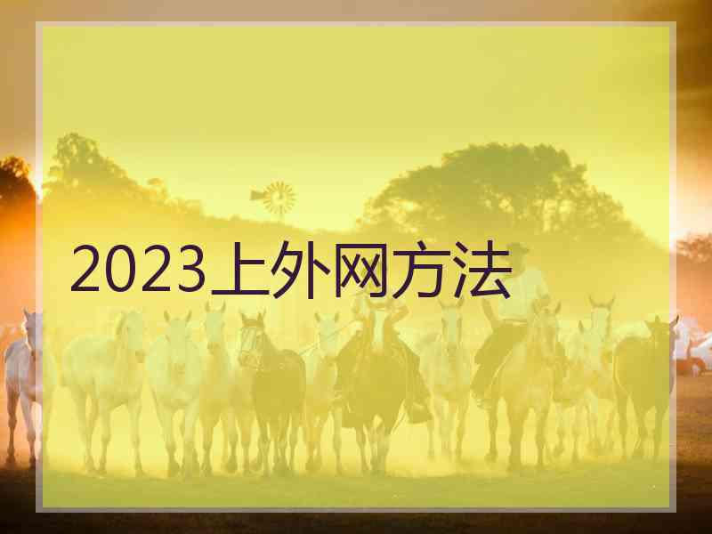 2023上外网方法