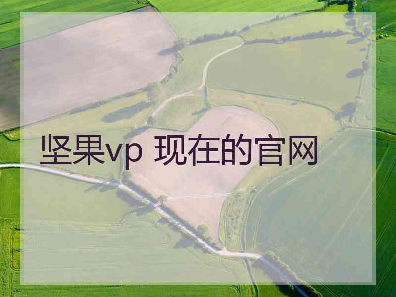 坚果vp 现在的官网