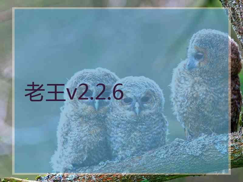 老王v2.2.6