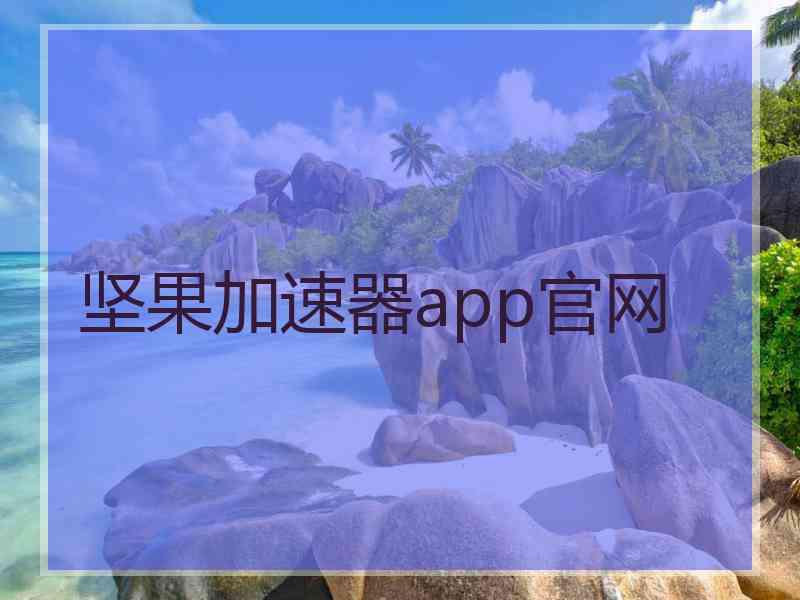 坚果加速器app官网