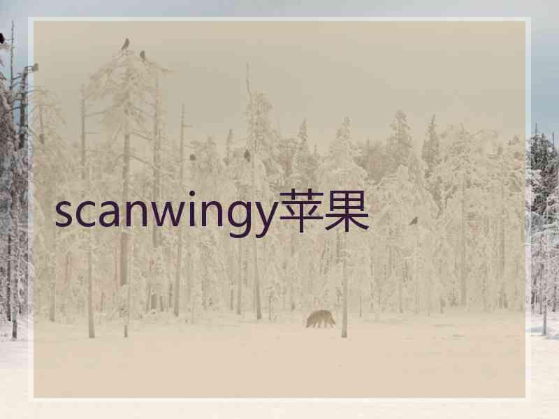 scanwingy苹果