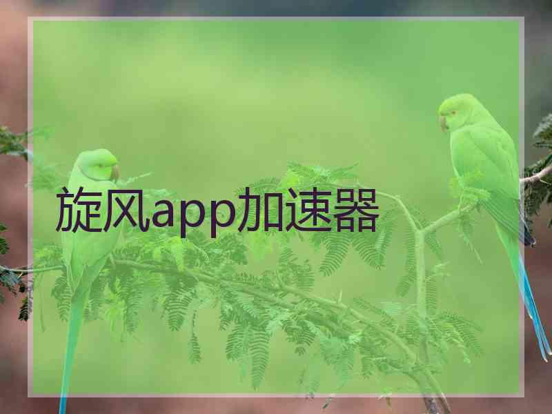 旋风app加速器