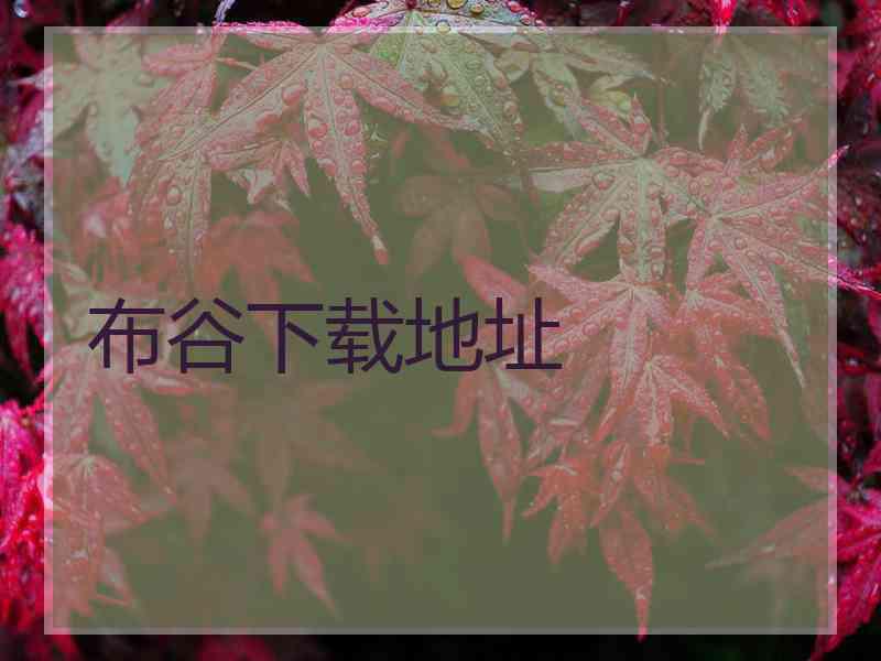 布谷下载地址