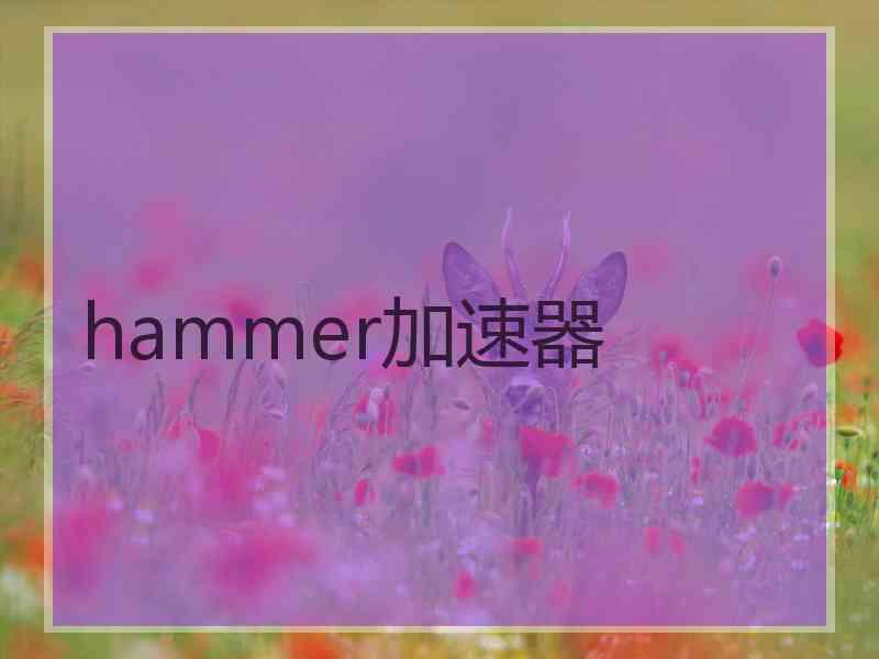 hammer加速器