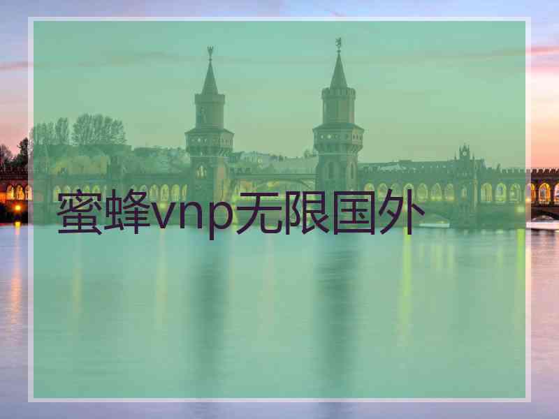 蜜蜂vnp无限国外