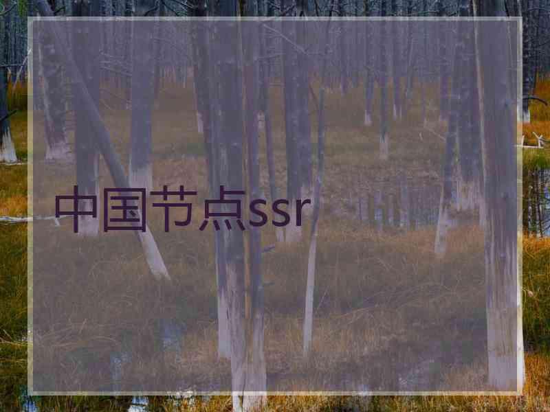 中国节点ssr