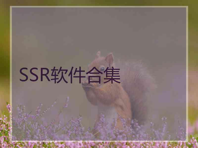 SSR软件合集