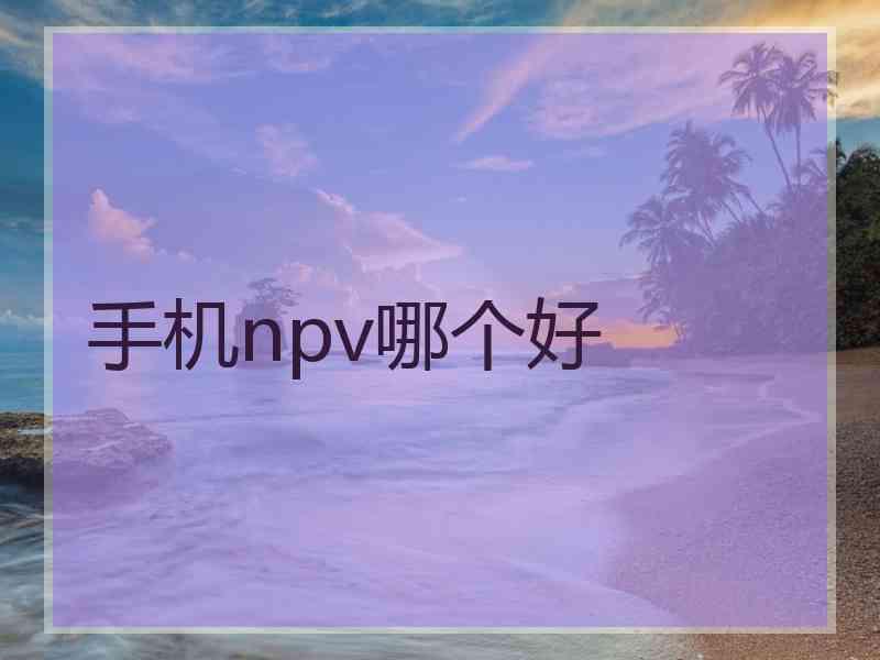 手机npv哪个好