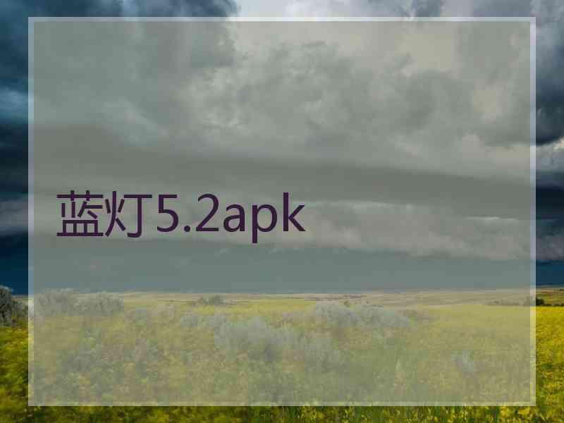 蓝灯5.2apk