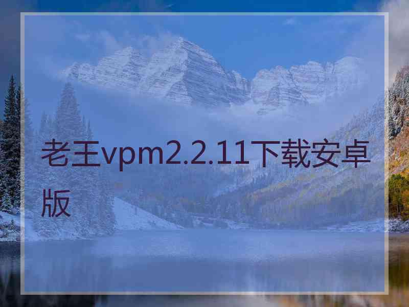 老王vpm2.2.11下载安卓版