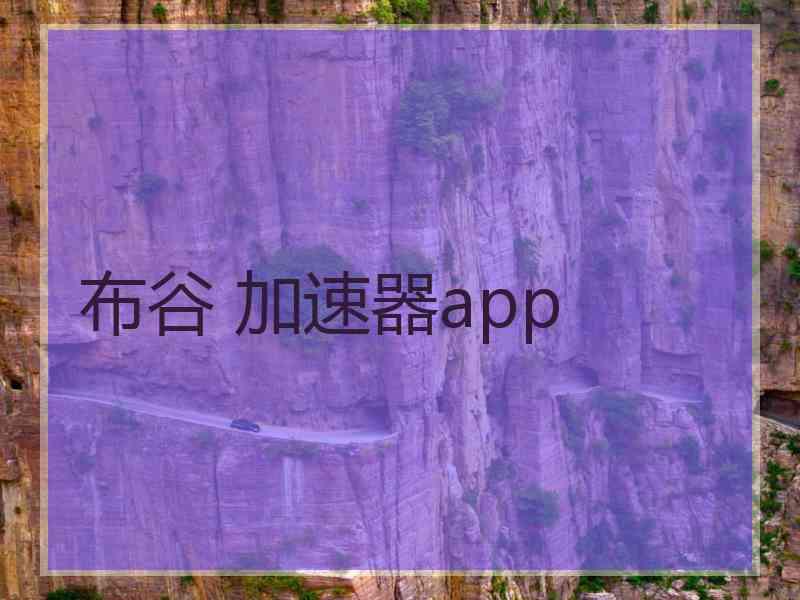 布谷 加速器app