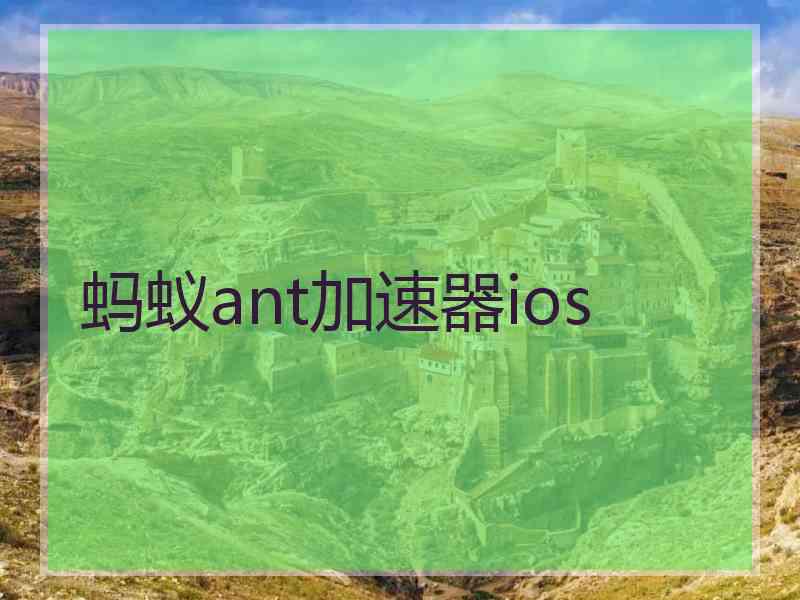 蚂蚁ant加速器ios