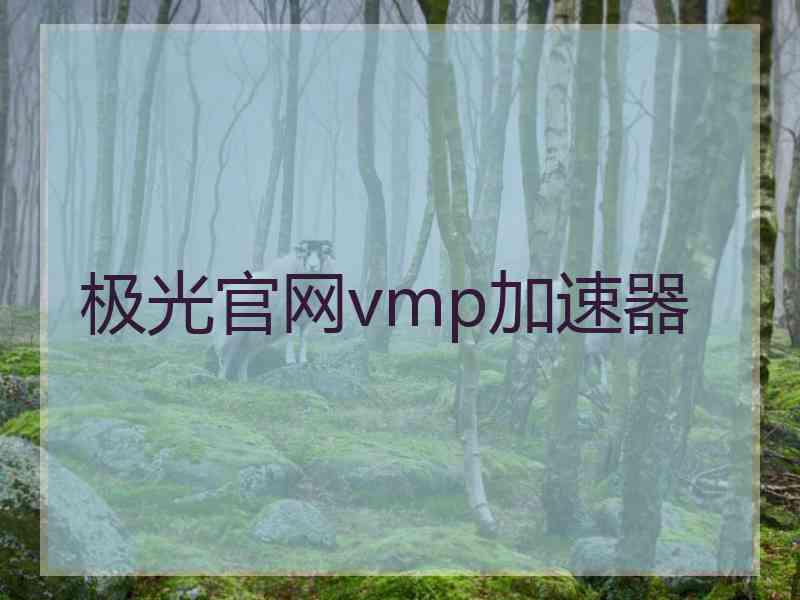 极光官网vmp加速器