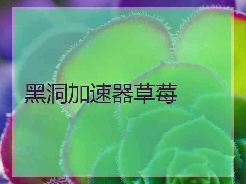 黑洞加速器草莓