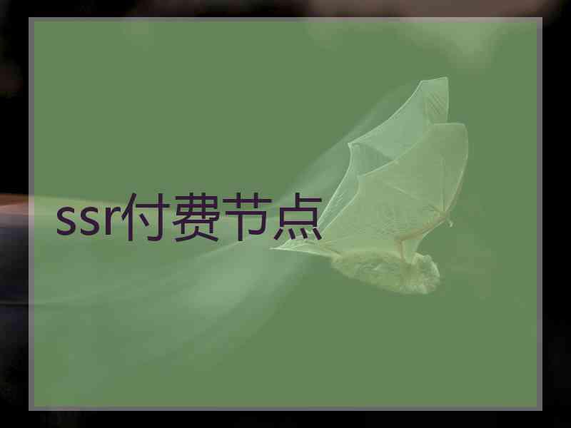 ssr付费节点