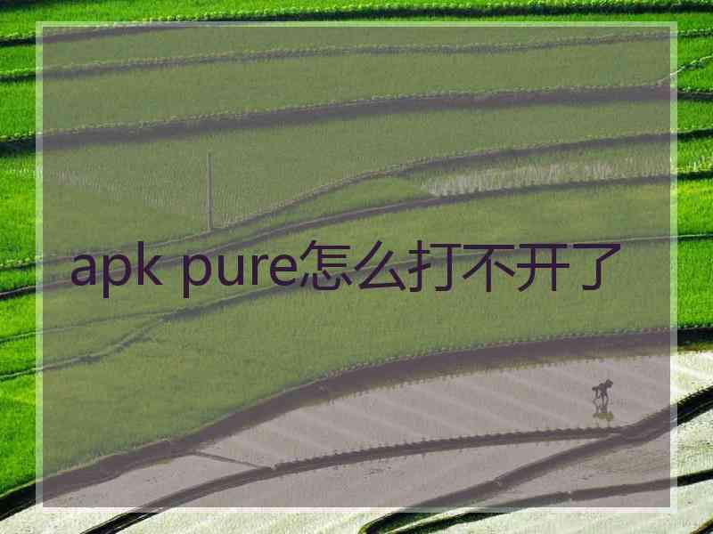 apk pure怎么打不开了