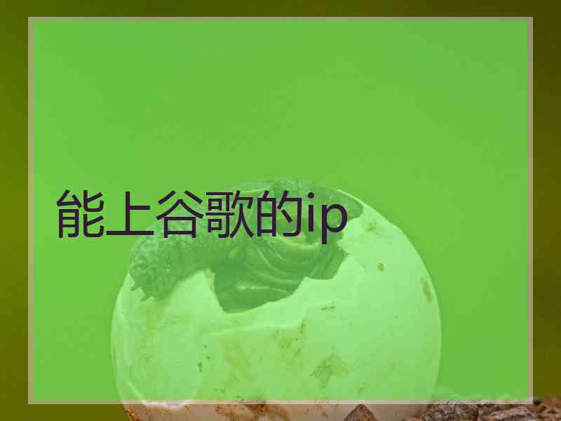 能上谷歌的ip