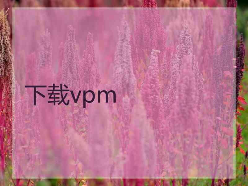 下载vpm