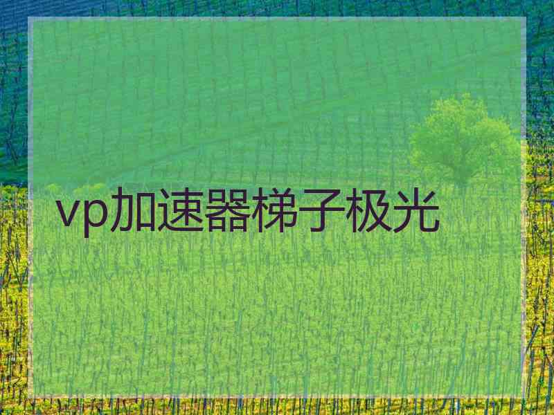 vp加速器梯子极光