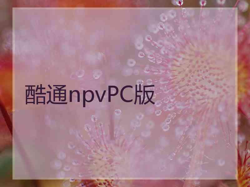 酷通npvPC版