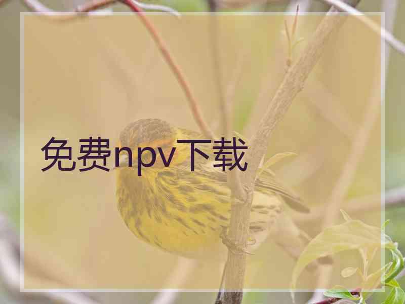 免费npv下载