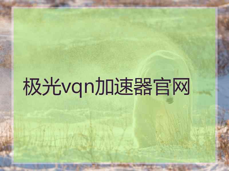 极光vqn加速器官网