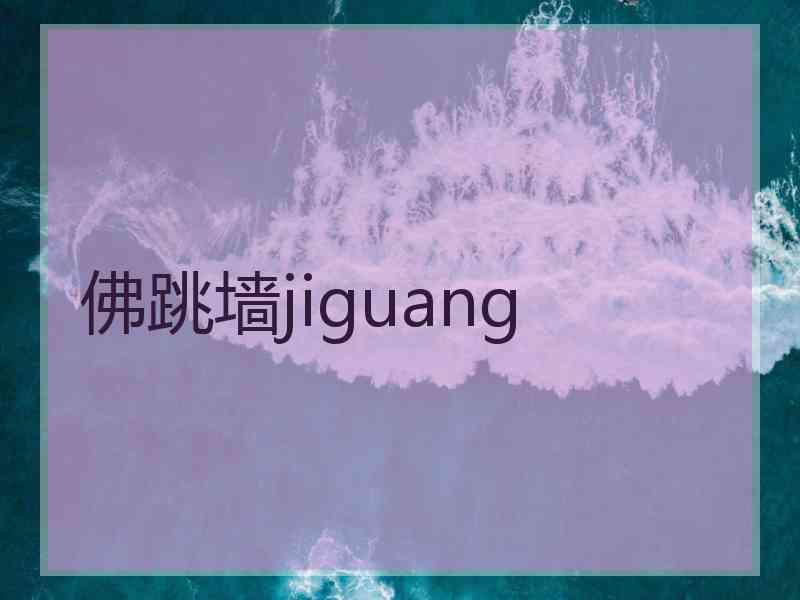 佛跳墙jiguang