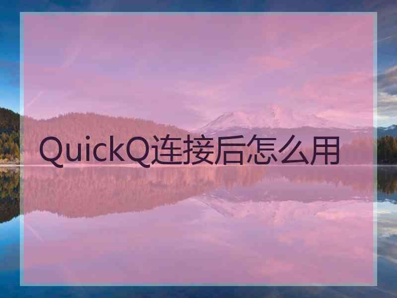 QuickQ连接后怎么用