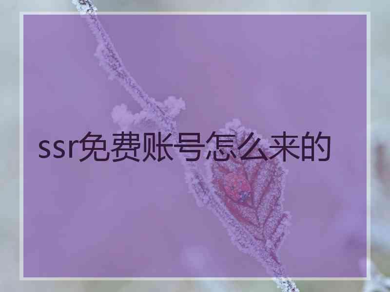 ssr免费账号怎么来的