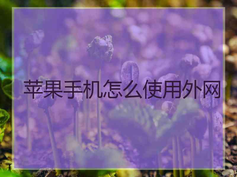 苹果手机怎么使用外网