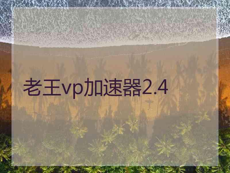 老王vp加速器2.4