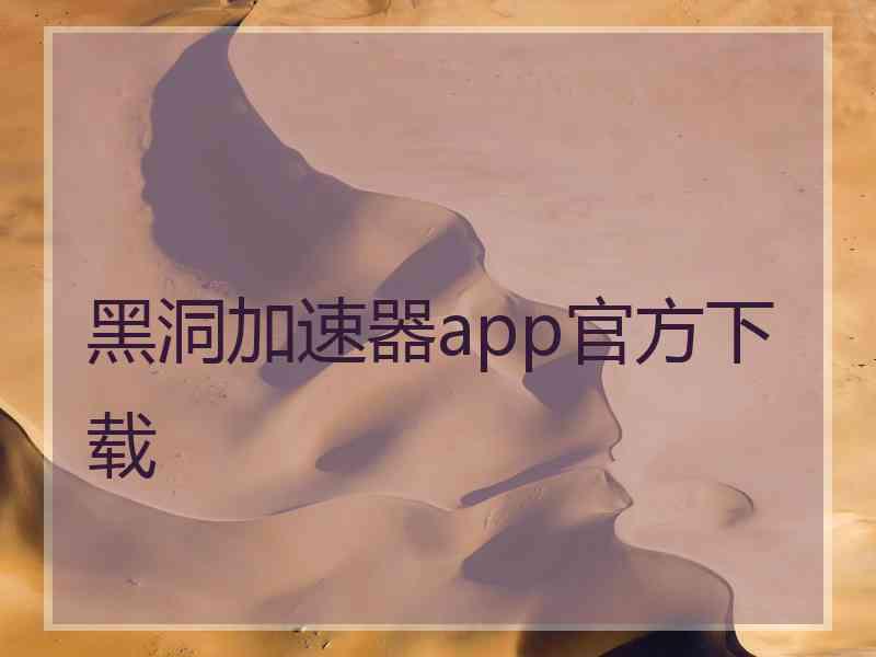 黑洞加速器app官方下载