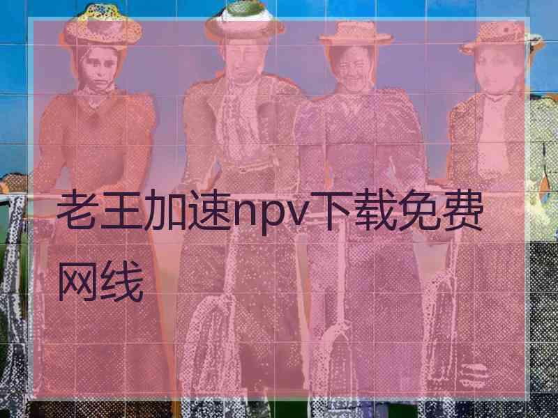 老王加速npv下载免费网线