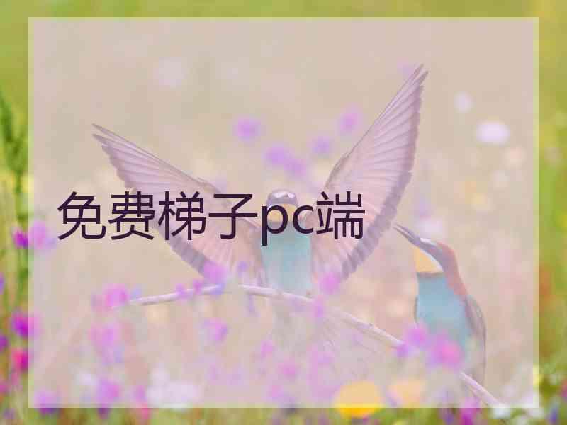 免费梯子pc端