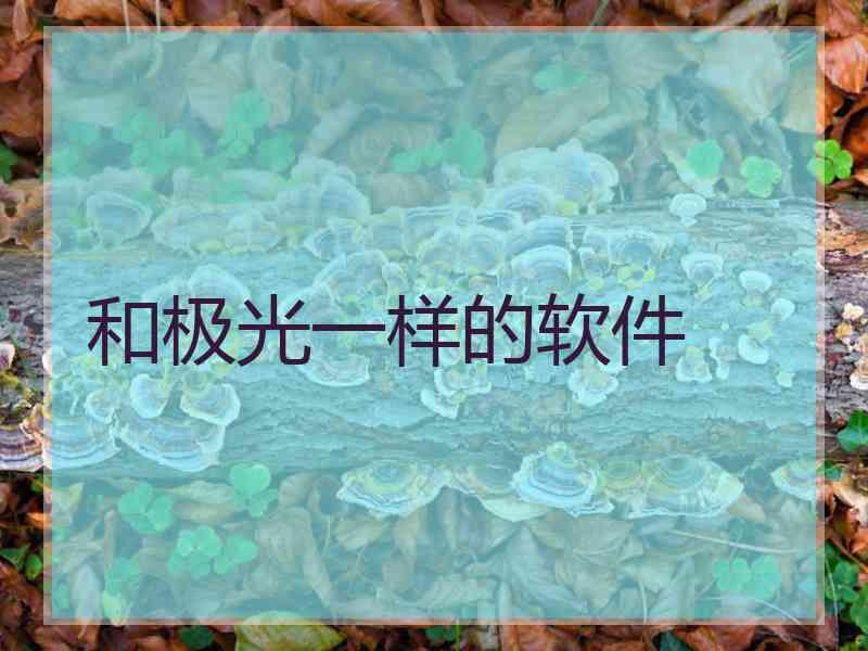 和极光一样的软件